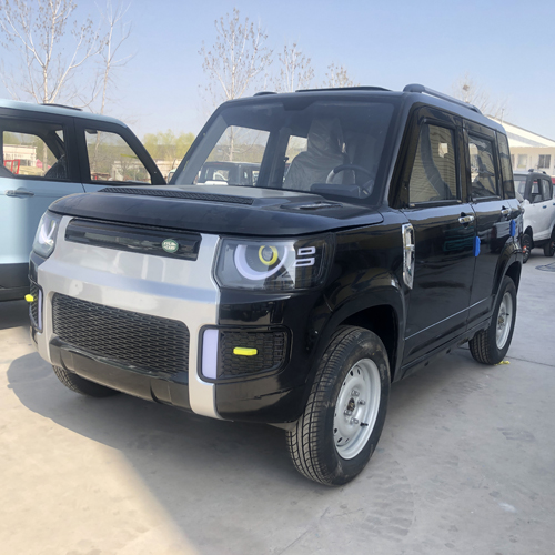 SUV lithium-elektrisch voertuig gemaakt in China